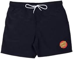 Santa Cruz Classic Dot Swimtruck Black