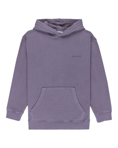 Element Kids Lowcase Pigment Hoodie Purple