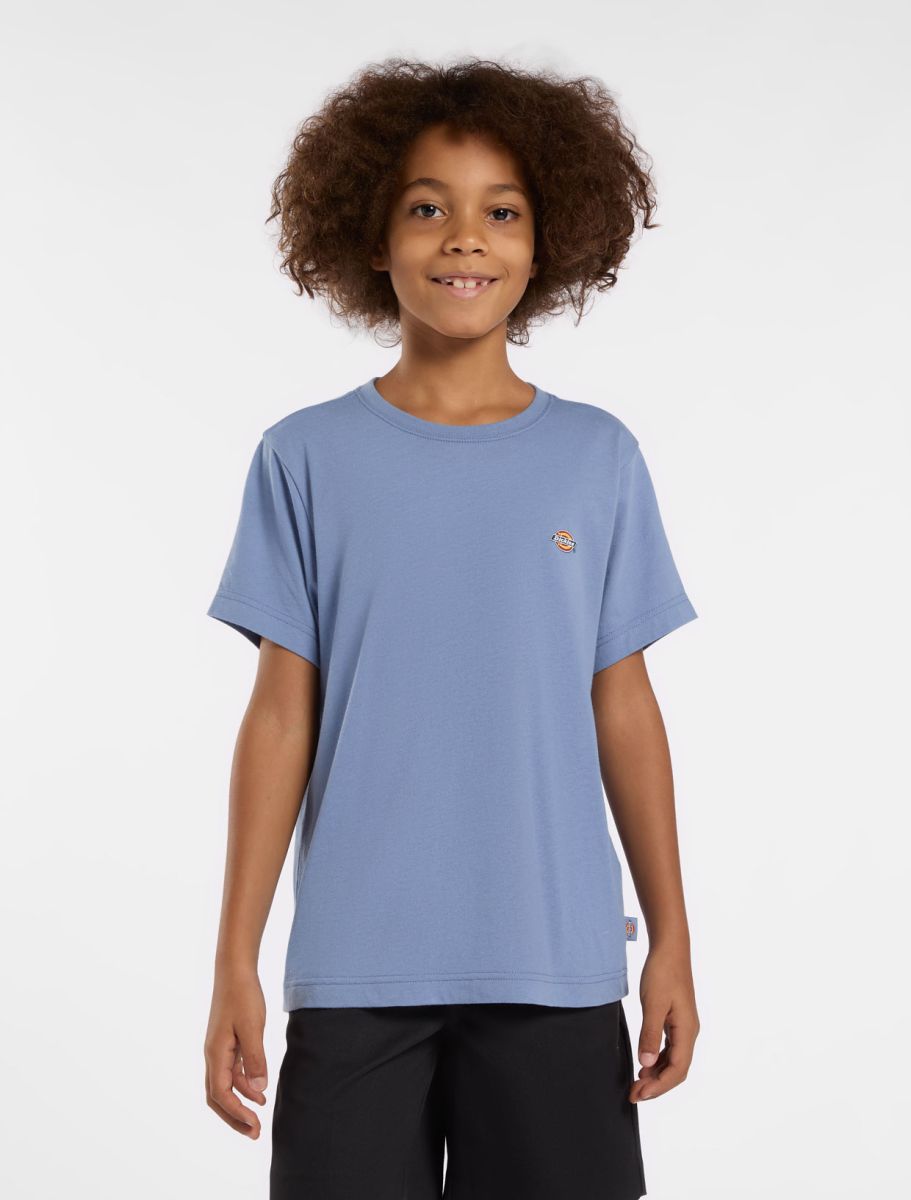 Dickies Kids Mapleton Tee Blauw