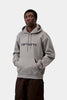 Carhartt WIP Hooded Carhartt Sweat Shady Grey/Dark Navy
